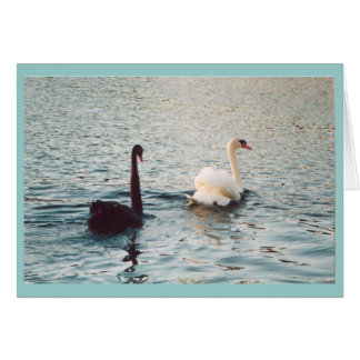 Schwarz-Weiß auf dem Rideau