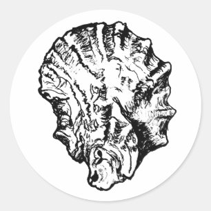 Schwarz-Weiß-Austern-Muschel Runder Aufkleber