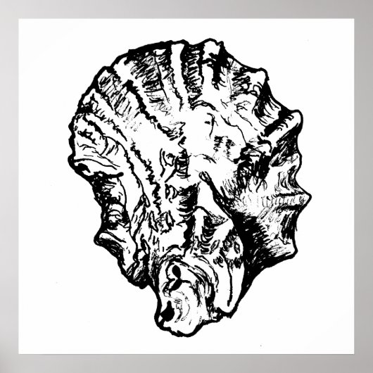 Schwarz-Weiß-Austernposter Poster (Vorne)