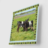 Schwarz-Weiß-Baby-Galloway-Kühe, Quadratische Wanduhr (Winkel)