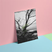 Schwarz-Weiß-Baum mit grünen Reben Fotodruck