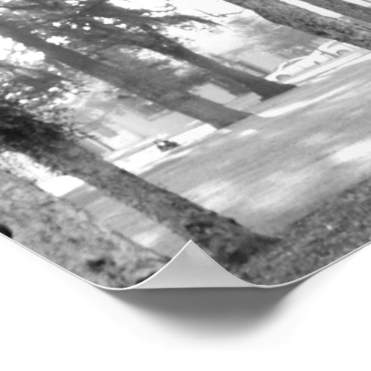 Schwarz-Weiß-Baum Poster (Ecke)