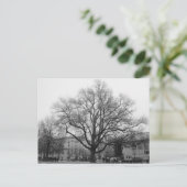 Schwarz-Weiß-Baum Postkarte (Stehend Vorderseite)