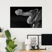 Schwarz-Weiß-Baumboa Poster (Heimbüro)