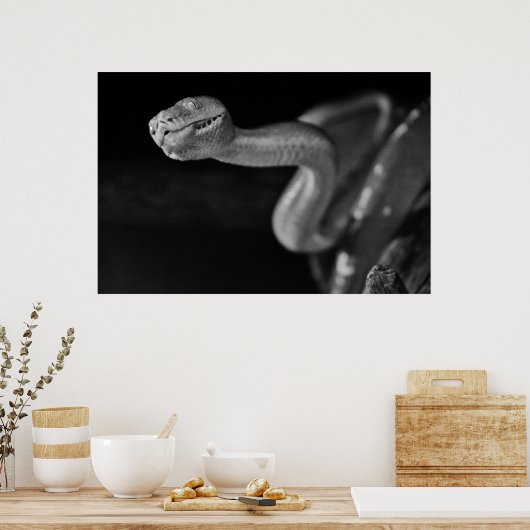 Schwarz-Weiß-Baumboa Poster (Küche)