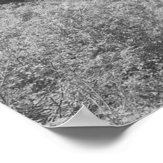 Schwarz-Weiß-Bäume & Gebirgsposter Poster (Ecke)