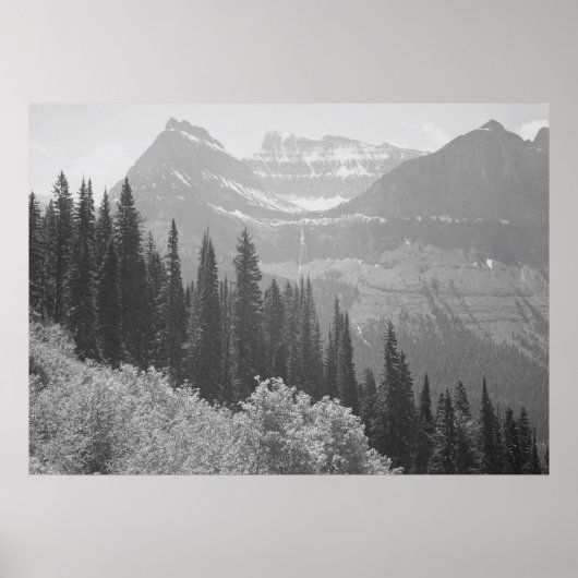 Schwarz-Weiß-Bäume & Gebirgsposter Poster (Vorne)