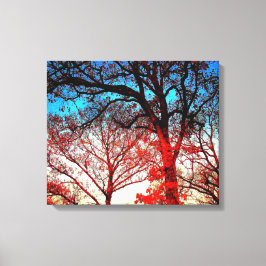 Schwarz-Weiß-Bäume im Winter Foto Leinwanddruck