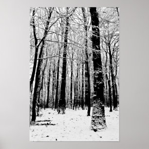 Schwarz-Weiß-Bäume im Winter Poster