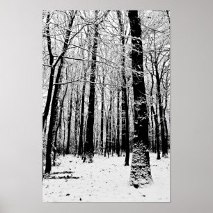 Schwarz-Weiß-Bäume im Winter Poster 