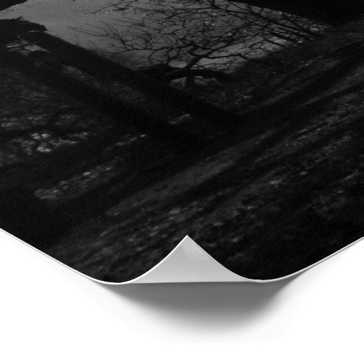 Schwarz-Weiß-Bäume Poster (Ecke)