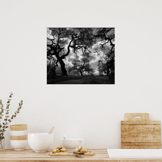 Schwarz-Weiß-Bäume Poster (Küche)