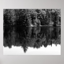 Schwarz-Weiß-Bäume Reflektion im Wasser 16x20