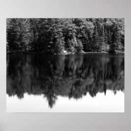 Schwarz-Weiß-Bäume Reflektion im Wasser 16x20 Poster