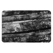 Schwarz-Weiß-Bäume überall Magnet (Horizontal)