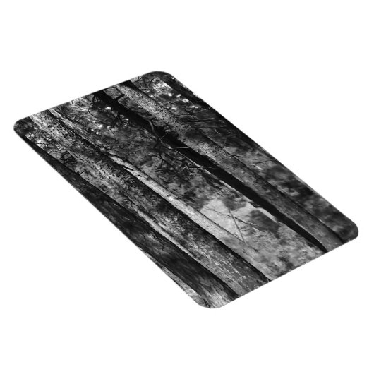 Schwarz-Weiß-Bäume überall Magnet (Rechte Seite)