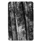 Schwarz-Weiß-Bäume überall Magnet (Vertikal)