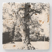 Schwarz-Weiß-Baumlandschaft Steinuntersetzer (Vorderseite)