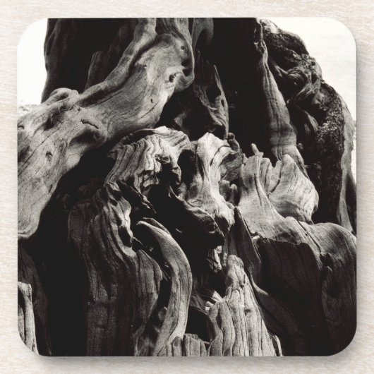 Schwarz-Weiß-Baumrinde Getränkeuntersetzer (Vorderseite)