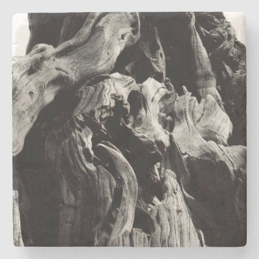 Schwarz-Weiß-Baumrinde Steinuntersetzer (Vorderseite)