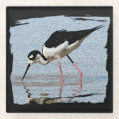 Schwarz-weiß Beach Animal Foto Wading Bird Glasuntersetzer (Vorderseite)