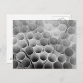 Schwarz-Weiß-Bendy Postkarte (Vorne/Hinten)