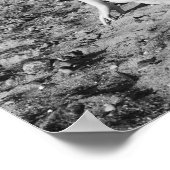 Schwarz-Weiß-Bikini-Tätowiermädchen Foto Poster (Ecke)