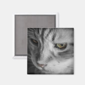 Schwarz-Weiß-Bild der Katze Magnet (Vorderseite/Rückseite)