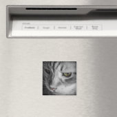 Schwarz-Weiß-Bild der Katze Magnet (In Situ (Geschirrspüler))