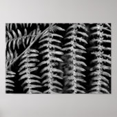 Schwarz-Weiß-Blätter Poster (Vorne)