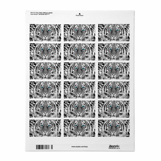 Schwarz-Weiß-blaue Augen Tiger Graphic Adressaufkleber (Vorne)