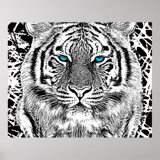 Schwarz-Weiß-blaue Augen Tiger Graphic Poster (Vorne)