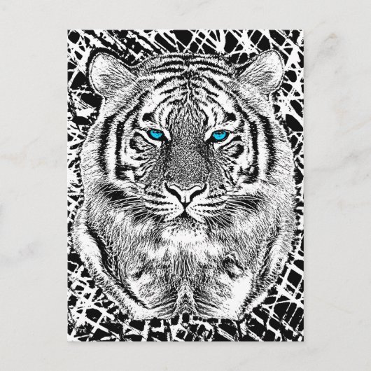 Schwarz-Weiß-blaue Augen Tiger Graphic Postkarte (Vorderseite)
