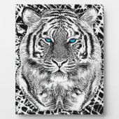 Schwarz-Weiß-Blaue Augen-Wildziger-Gesicht Fotoplatte (Vorderseite)