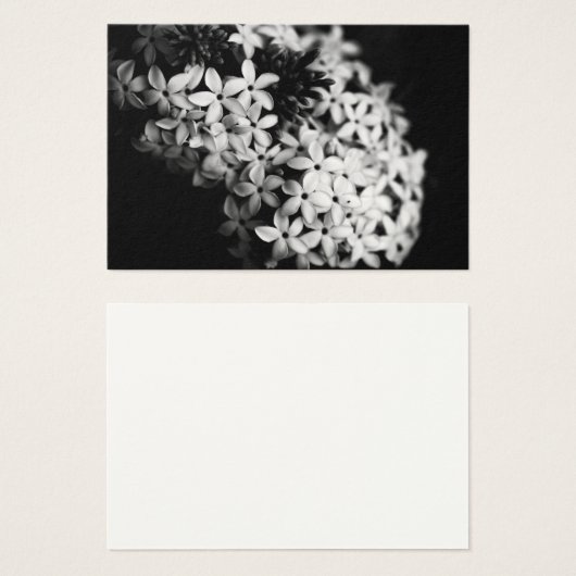 Schwarz-Weiß-Blume (Vorne & Hinten)