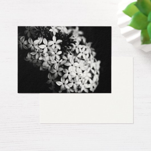 Schwarz-Weiß-Blume (Schreibtisch)