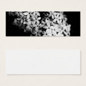 Schwarz-Weiß-Blume (Vorne & Hinten)