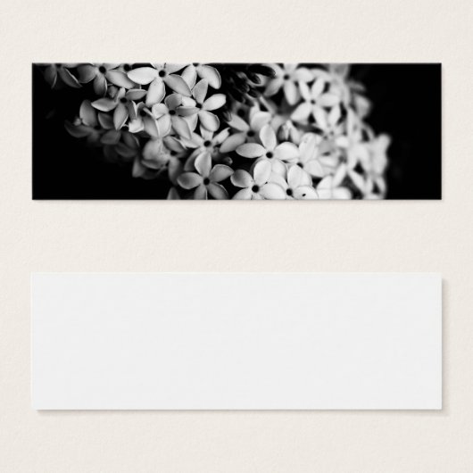 Schwarz-Weiß-Blume (Vorne & Hinten)