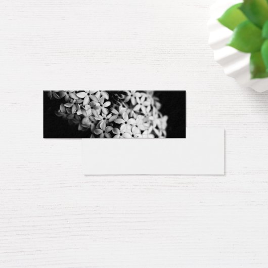 Schwarz-Weiß-Blume (Schreibtisch)