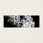 Schwarz-Weiß-Blume (Vorderseite)