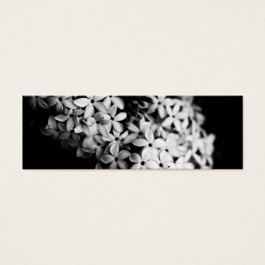 Schwarz-Weiß-Blume (Vorderseite)