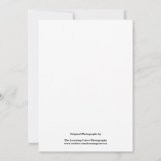 Schwarz-Weiß-Blume 10 (Rückseite)