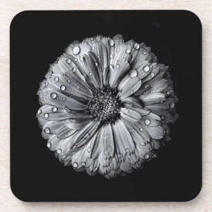 Schwarz-Weiß-Blume 10 Getränkeuntersetzer