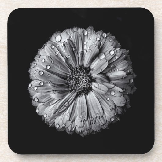 Schwarz-Weiß-Blume 10 Getränkeuntersetzer (Vorderseite)