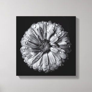 Schwarz-Weiß-Blume 10 Leinwanddruck