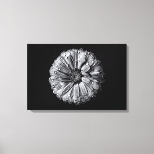 Schwarz-Weiß-Blume 10 Leinwanddruck
