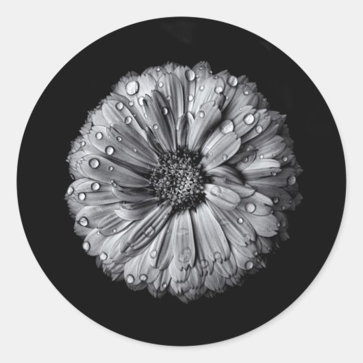 Schwarz-Weiß-Blume 10 Runder Aufkleber (Vorderseite)