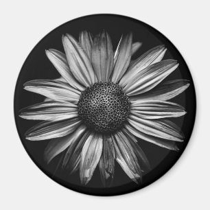 Schwarz-Weiß-Blume 18 Magnet