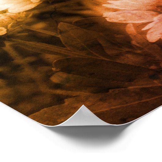 Schwarz-Weiß-Blume erschüttert Abstrakt Poster (Ecke)