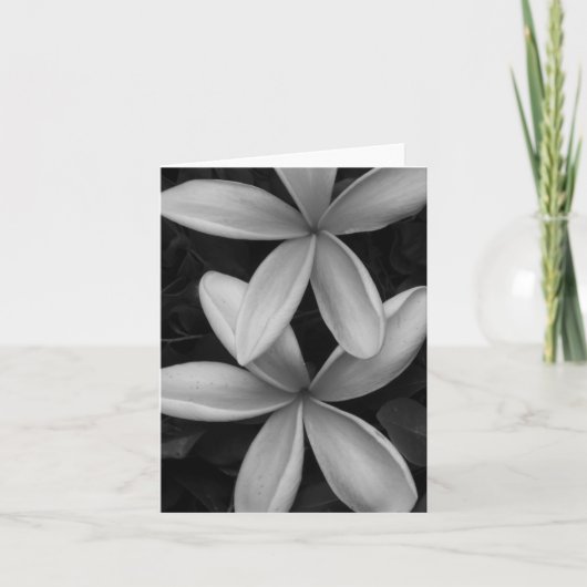 Schwarz-Weiß-Blume Faltkarte Karte (Vorderseite)